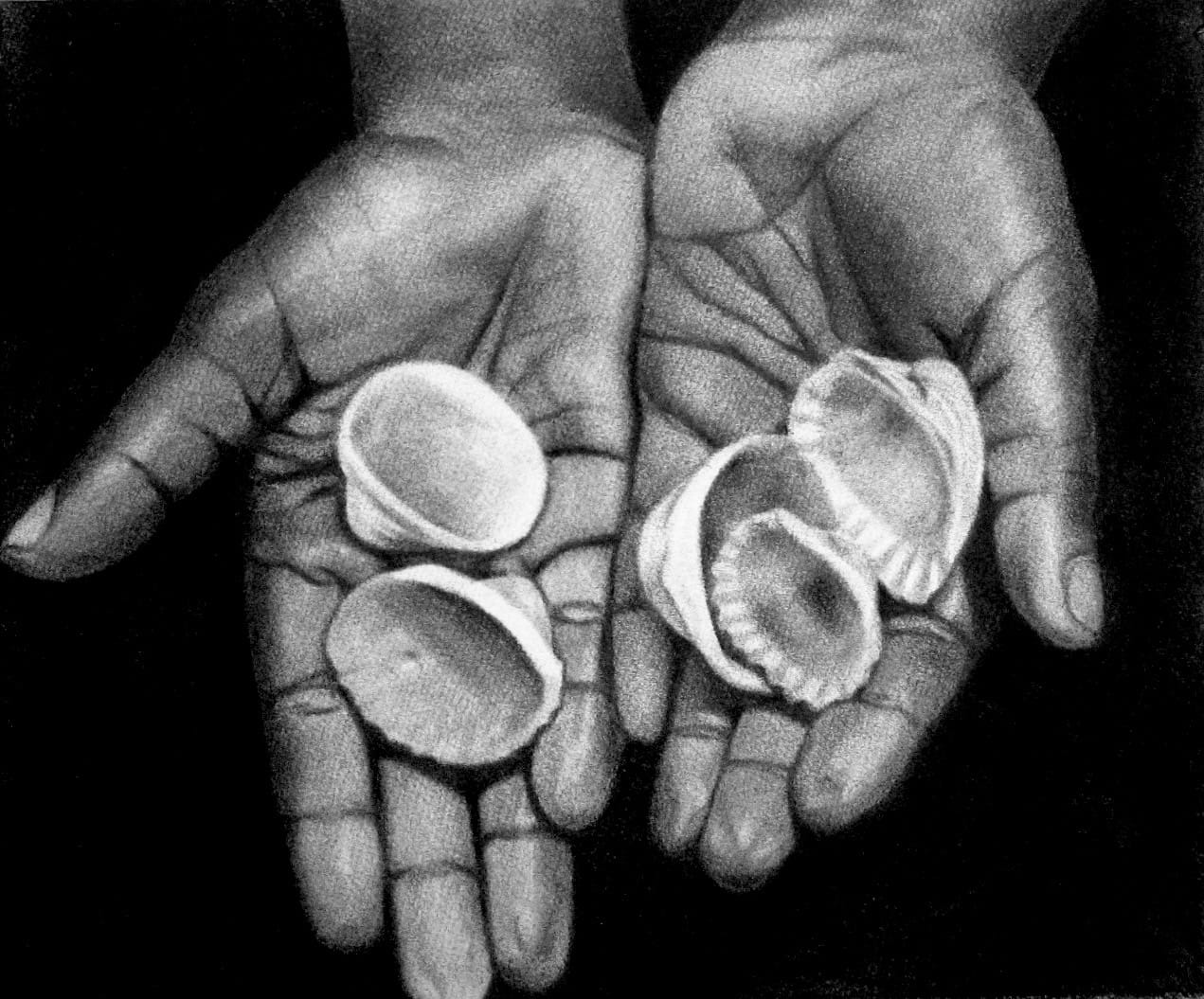 hands with shells