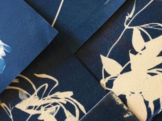 cyanotype print of plant materials