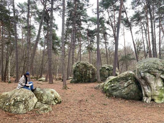 Making studies in the Forest of Fontainebleau, 2026, photograph courtesy of the artist
