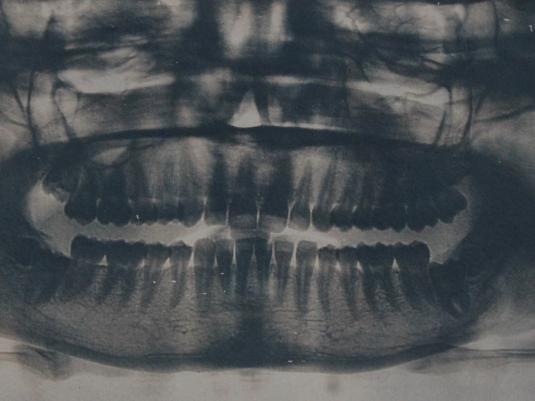 Helana Goodman Inchoate 2026, cyanotype print on khadi handmade paper. Courtesy the artist. Photo: Braedon Holland.