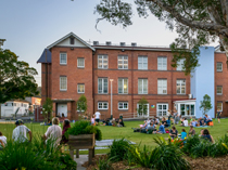 THE QUAD