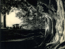 Close to Home: Cec Bown