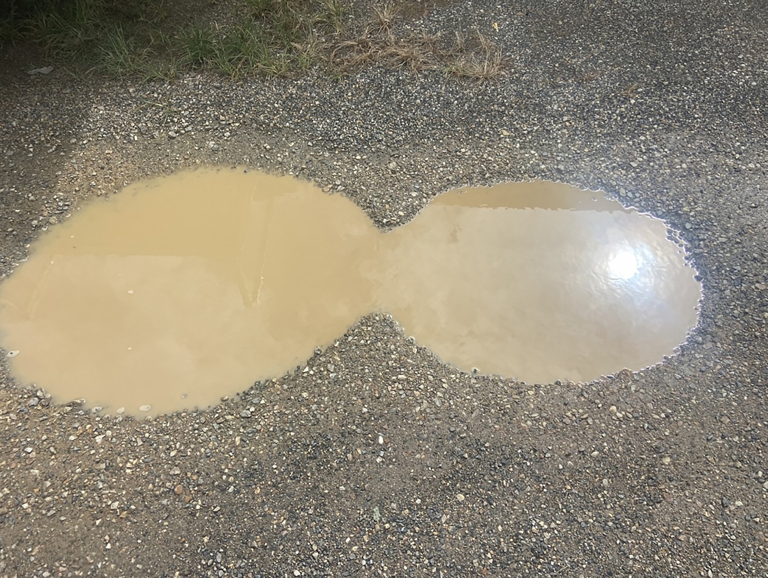 Two joined circular puddles of opaque substance 