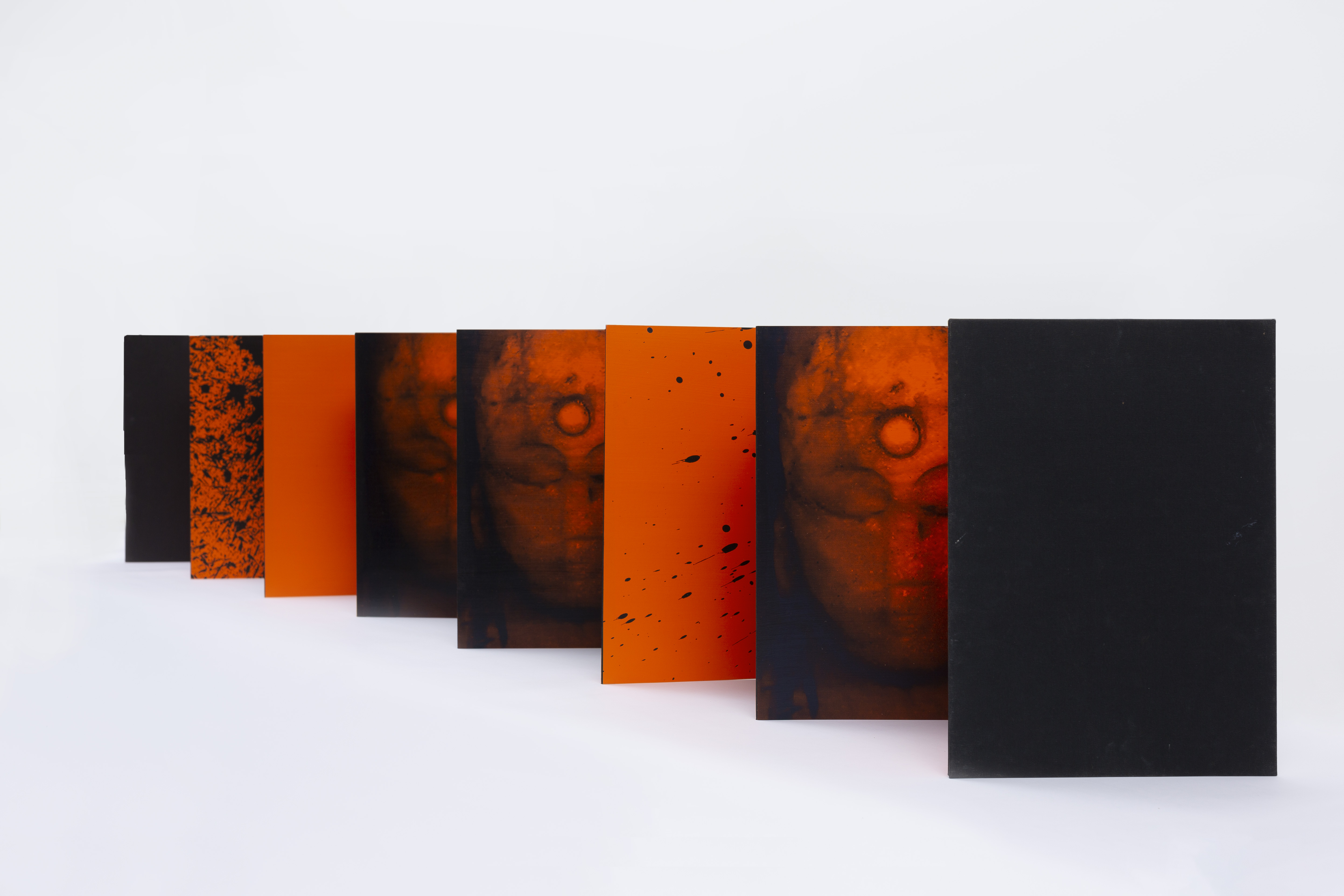 Accordion artist book