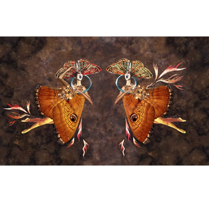 Two women dressed in butterfly constumes