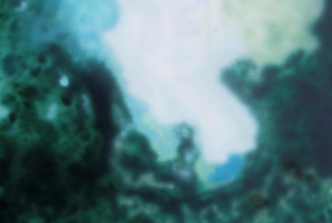 Babette Robinson 'When we were in a forest, but the forest was called Paris’ (detail) 2025, oil and water-based pigment on canvas. Courtesy the artist.