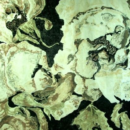 close up of plant leaves