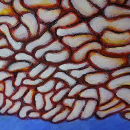 painted representation of covid cells