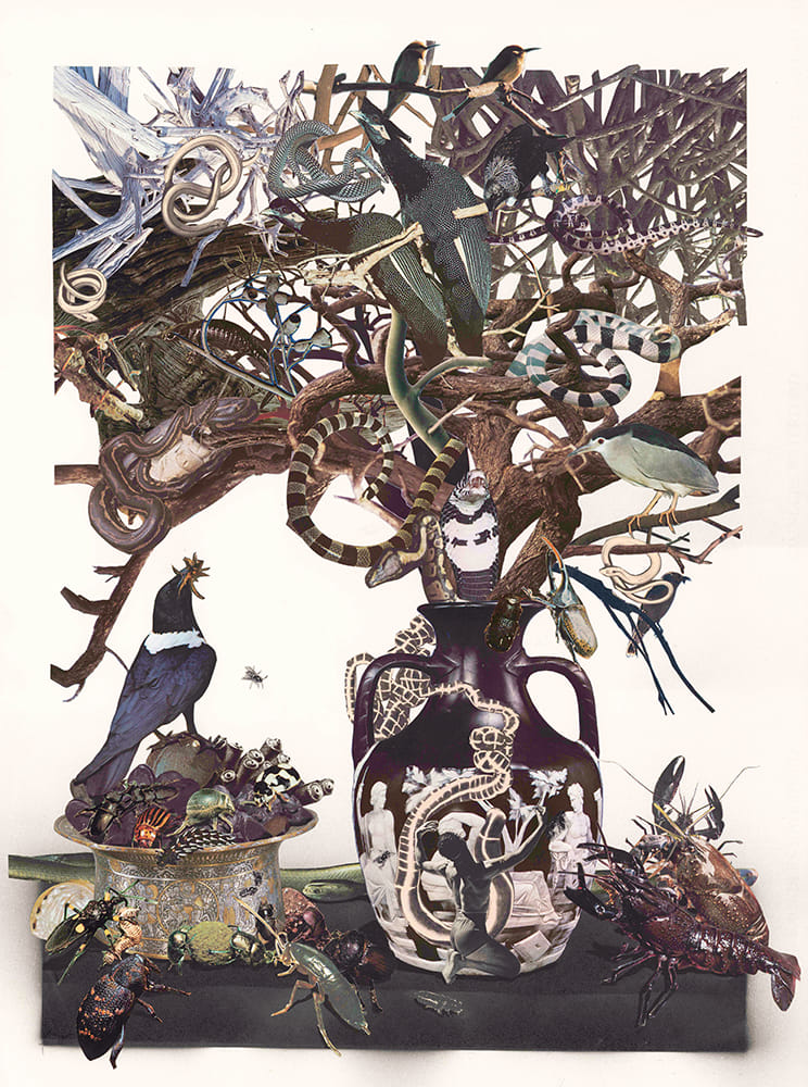 collage with birds, snakes and a tree in a vase