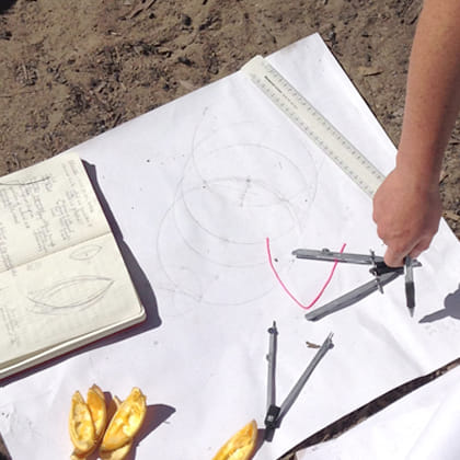 person using compass to draw curved line on paper. Open book, a ruler and orange peel is also in image