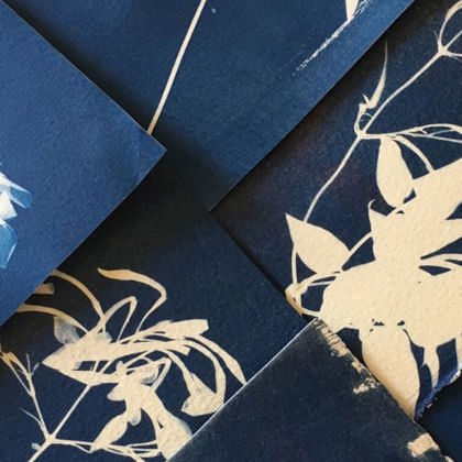 cyanotype print of plant materials 