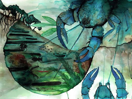 A painting of an underwater landscape with a crayfish and watery plants. It is in blue and greens colours, by Aviva Reed
