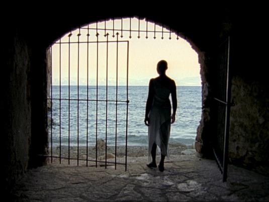 A colour photo of a silouetted figure standing next to a gate in a tunnel with the sea behind them