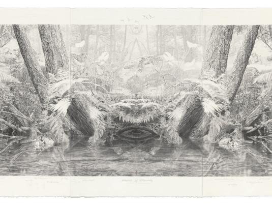 pencil drawing of forest