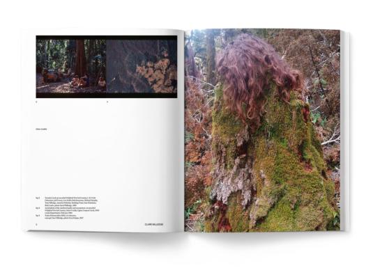 A book spread with images and text in colour