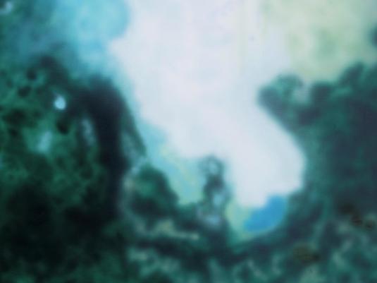 Babette Robinson 'When we were in a forest, but the forest was called Paris’ (detail) 2025, oil and water-based pigment on canvas. Courtesy the artist.