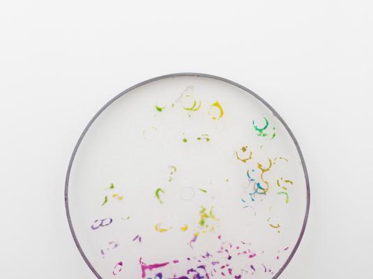 Hany Armanious 'Depiction' 2012, pigmented resin sculpture. Courtesy the artist and Fine Arts, Sydney.