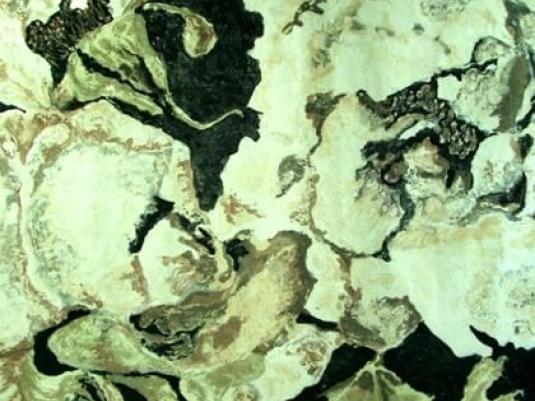 close up of plant leaves