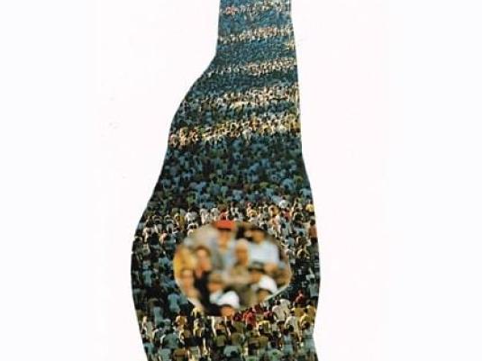 photograph of crowd with enlarged section