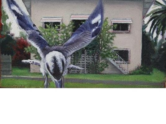 a bird flies away from a house