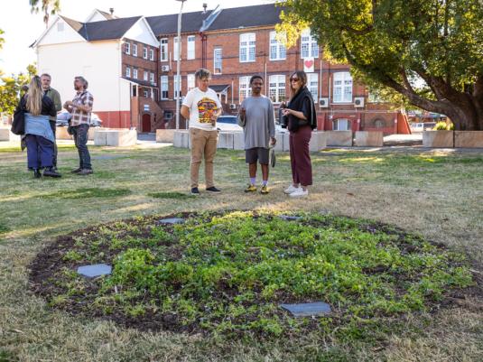 people around a newly made garden
