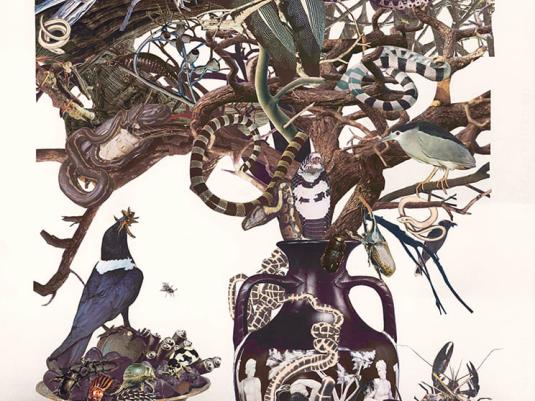 collage with birds, snakes and a tree in a vase