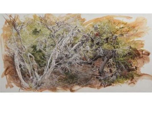 painting of heath bush