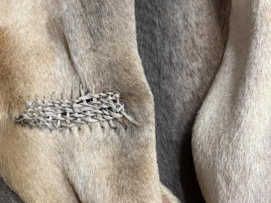 Kangaroo skin and thread