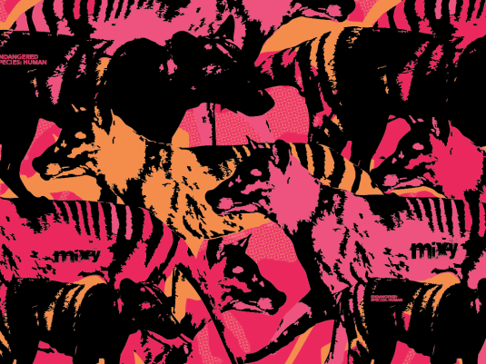A digital collage in pink, orange and black showing a Thylacine repeated over and over